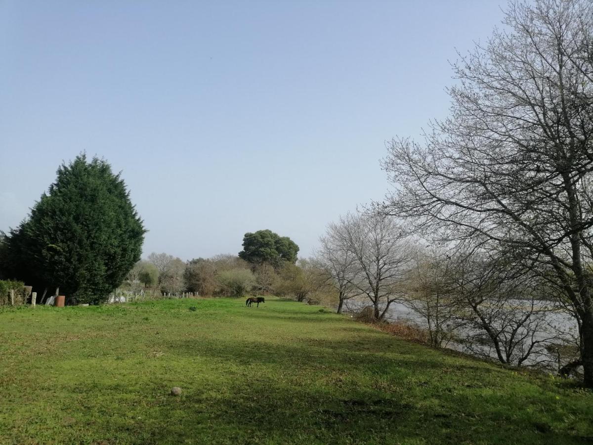 Royalheronhouse Viana do Castelo Kültér fotó